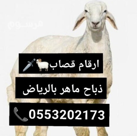 ksab-balryad-0569407661-ksab-bshrk-alryad-big-0