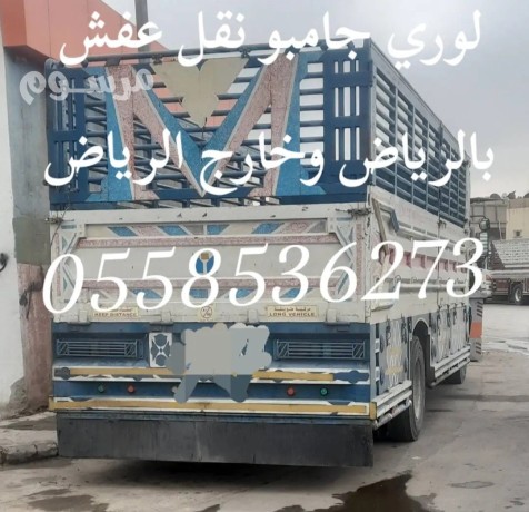lory-nkl-aafsh-kharg-alryad-0558536273-sahb-lory-nkl-bdayaa-balryad-big-0