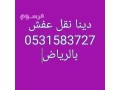 dyna-nkl-aafsh-shmal-alryad-0531583727-hy-alyasmyn-small-0