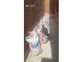 dyna-tsh-alathath-alkdym-oalmkhlfat-balryad-0506439664-tsh-mkhlfat-small-1
