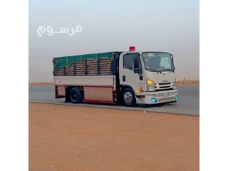 دينا طش الأثاث القديم التالف بالرياض