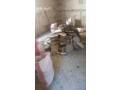 dyna-tsh-almkhlfat-oalmbaathrat-balryad-0506439664-tsh-mkhlfat-small-0