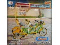 syakl-mzdog-syklat-small-0