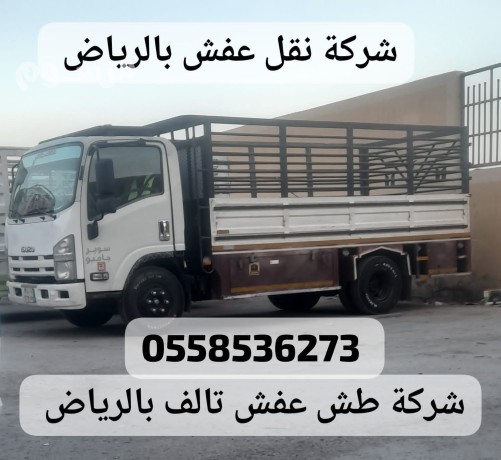dyna-nkl-aafsh-mn-alryad-aly-mk-almkrm-0558536273-gdh-almdyn-almnor-big-0