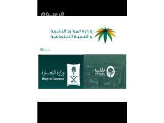 مكتب النسيم للخدمات العامة 0595305152