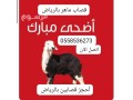 gzar-ksab-mahr-balryad-0558536273-gzar-mtkhss-fy-althbyh-small-0