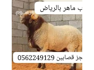 رقم جزار ماهر قصاب سريع بالرياض 0562249129 جزار مختص