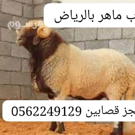 rkm-gzar-mahr-ksab-sryaa-balryad-0562249129-gzar-mkhts-big-0