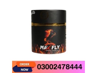 Max Fly Paste in Burewala- 03002478444