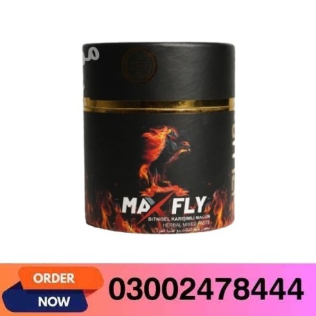 max-fly-paste-in-burewala-03002478444-big-0