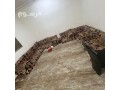 altkhls-mn-alathath-alkdym-balryad-0506439664-hy-alyasmyn-oalnrgs-ohtyn-small-1