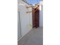 llbyaa-mragyh-maalk-mrgyhat-small-1