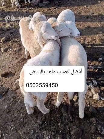 ksab-mahr-balryad-gzar-0503559450-big-0