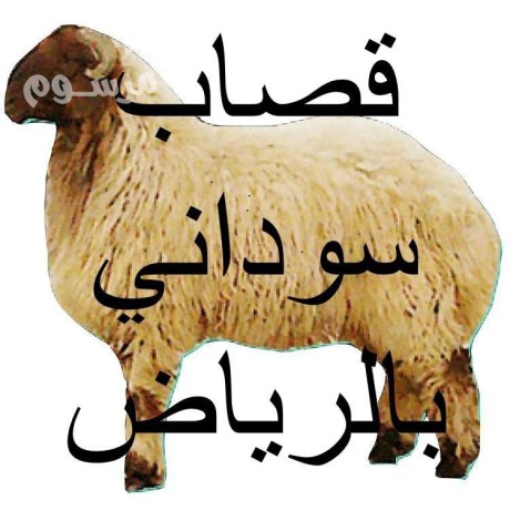 ksab-mahr-balryad-hy-alyasmyn-0507973276-hy-alnrgs-big-0