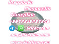 pregabalin-briracetam-tianeptine-raw-powder-148553-50-8-factory-small-6