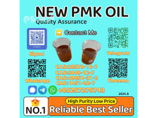 Reliable Supplier New P.M.K Oil 28578-16-7/5413-05-8/20320-59-6