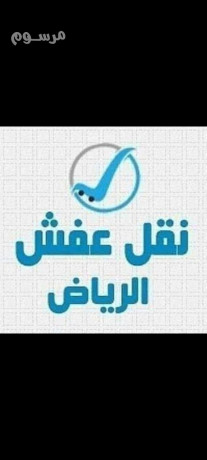 dyna-nkl-aafsh-shmal-alryad-0510765344-big-0