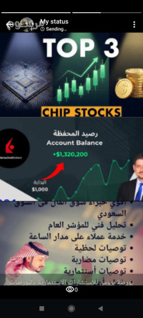 tosyat-alashm-althhby-oadar-mhfthtk-balbors-alsaaody-oalamryky-oalaamlat-baaaly-rbh-mn-mktbna-alastshary-bors-bros-big-0