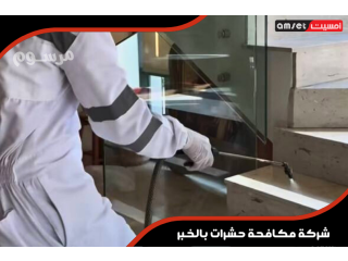 تعتبر شركة مكافحة حشرات بالخبر الوجهة الرائدة والمتخصصة
