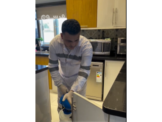 خدمات شركة أمسيت لإبادة بق الفراش بالدمام