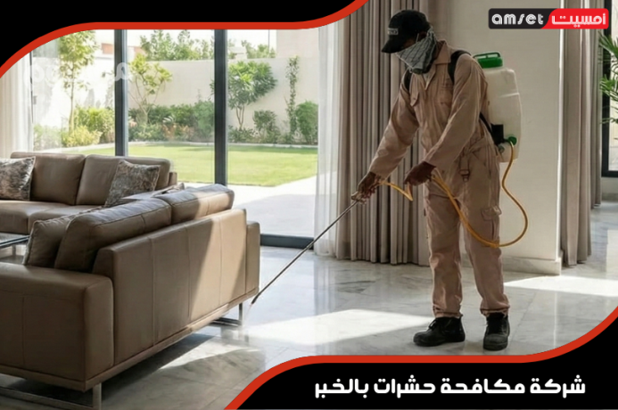 shrk-mkafh-hshrat-bsyhat-dlylk-alshaml-lbyy-khaly-mn-alafat-big-0