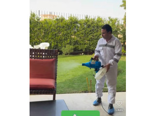 سر الحفاظ على بيئة صحية في الظهران: دليلك لاختيار شركة مكافحة الحشرات