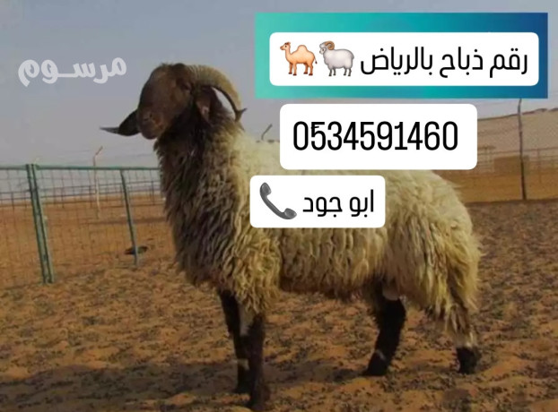 rkm-ksab-mahr-balryad-0534591460-thbah-gzar-0552330798-big-0