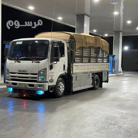 dyna-tsh-alathath-alkdym-balryad-tkhls-mn-kl-anoaaa-alathath-alkdym-almstaaml-fy-alryad-big-0