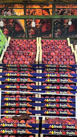 shrk-toryd-alkhdar-oalfoak-altazg-bgd-big-4