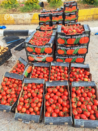 shrk-toryd-alkhdar-oalfoak-altazg-bgd-big-1