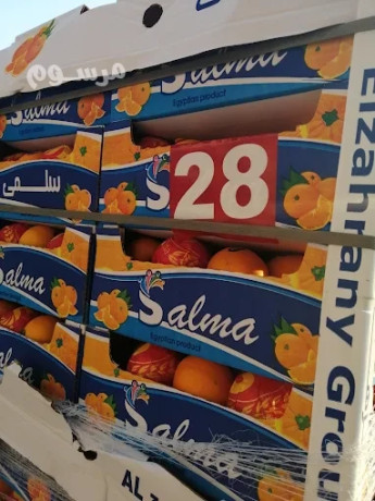 shrk-toryd-alkhdar-oalfoak-altazg-bgd-big-6