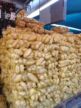 shrk-toryd-alkhdar-oalfoak-altazg-bgd-big-3