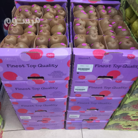 shrk-toryd-alkhdar-oalfoak-altazg-bgd-big-2