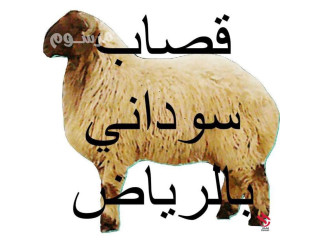 رقم قصاب ماهر بالرياض 0َ555613414 جزار سلخ بالرياض