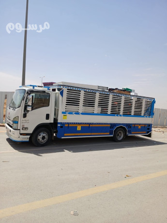 dyna-nkl-aafsh-balryad-0503483036-nkl-bdayaa-dakhl-alryad-big-0