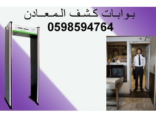 بوابة كشف المعادن