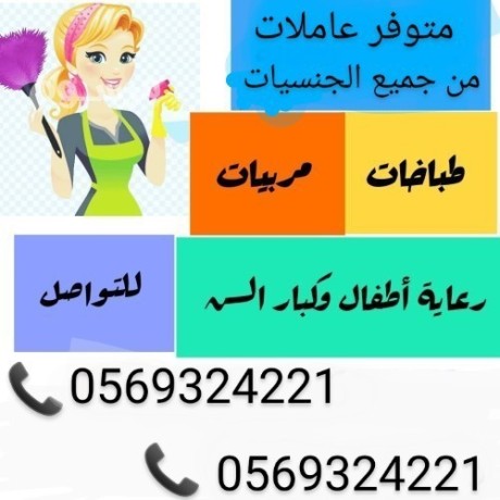 yogd-omtlob-aaamlat-tbakhat-lltnazl-0569324221-big-0