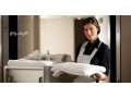 yogd-omtlob-khadmat-otbakhat-lltnazl-mn-gmyaa-algnsyat-0541249349-small-0