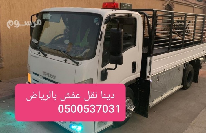 tsh-aghrad-kdym-obkaya-alathath-balryad-0500537031-amr-big-0
