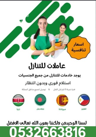 hyakm-allh-yogd-omtlob-aaamlat-lltnazl-bafdl-alasaaar-mn-gmyaa-algnsyat-oyogd-ftr-tgrbh-kbl-nkl-alkfalh-big-0