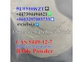 cheap-price-cas-5449-12-7-new-bmk-powder-bmk-glycidic-acid-sodium-salt-small-1