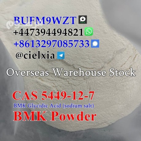 cheap-price-cas-5449-12-7-new-bmk-powder-bmk-glycidic-acid-sodium-salt-big-1