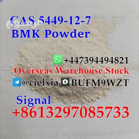 cheap-price-cas-5449-12-7-new-bmk-powder-bmk-glycidic-acid-sodium-salt-big-0