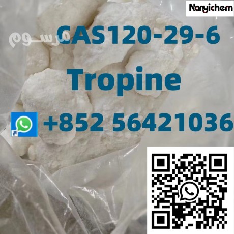 cas-120-29-6-name-tropino-big-0