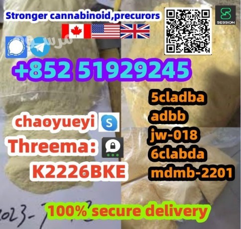 usd-100-top-supplier5cladba5cl-adba-5cl-adba4fadb-5cl-adba-big-0