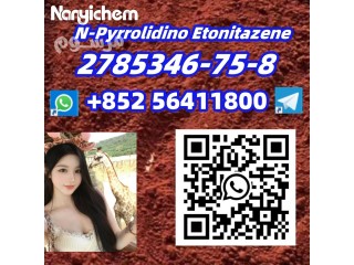 CAS 2785346-75-8 N-Pyrrolidino Etonitazene