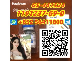 CAS 1191237-69-0 GS-441524