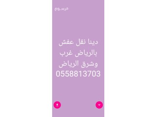 نقل عفش شرق الرياض ️0510950133️