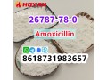 cas-26787-78-0-amoxicillin-high-purity-china-supplier-small-1
