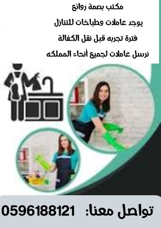 mtlob-aaamlat-otbkhat-lltnazl-mn-gmyaa-algnsyat05796188121-big-0